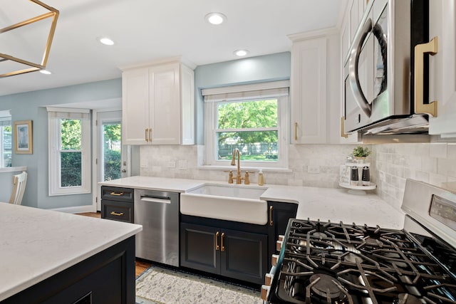 5028 Switch Grass Ln, Naperville, IL 60564 - photo 9