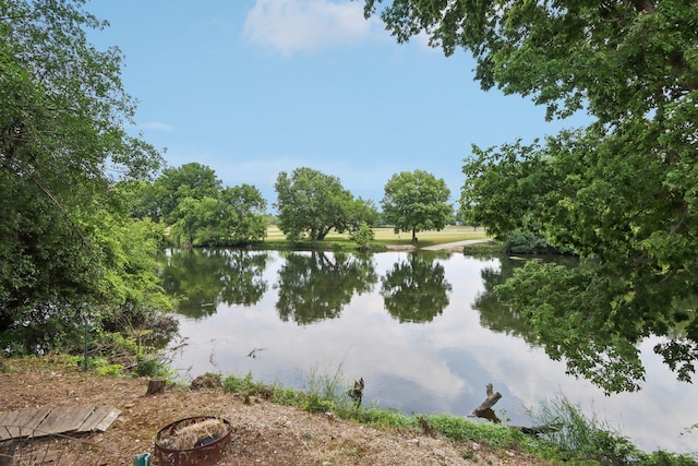4203 Bunratty Ln, Plainfield, IL 60586 - water view