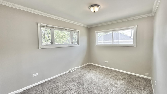 17303 Roy St, Lansing, IL 60438 - unfurnished room with ornamental molding and carpet floors