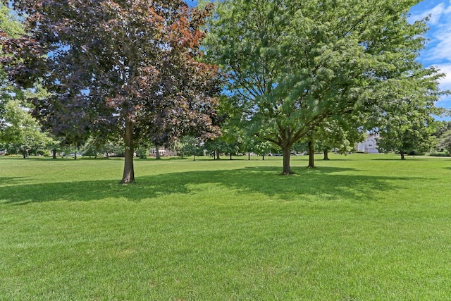 3077 N Southern Hills Dr, Wadsworth, IL 60083 - photo 28