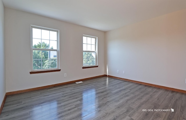 1305 Lilac Ln, Harvard, IL 60033 - empty room featuring plenty of natural light and wood finished floors
