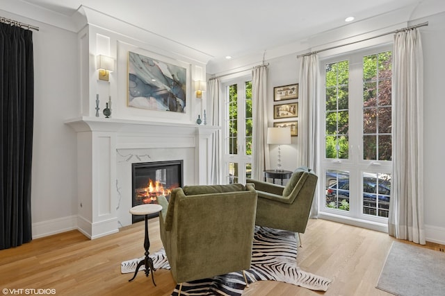 823 W George St Unit 1, Chicago, IL 60657 - living area with light wood finished floors, a glass covered fireplace, and recessed lighting