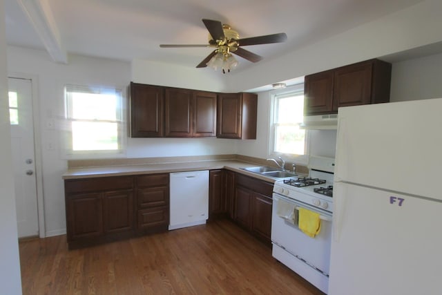 1521 Adams St, Lake In The Hills, IL 60156 - kitchen featuring white appliances, exhaust hood, a ceiling fan, wood finished floors, and light countertops