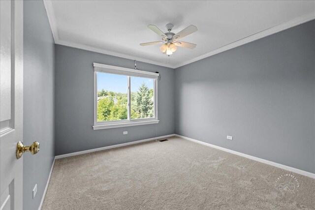 6910 Zachary Dr, Carpentersville, IL 60110 - photo 16