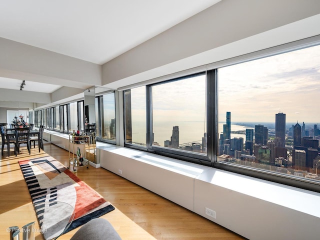 175 E Delaware Pl Unit 8808, Chicago, IL 60611 - hall with wood finished floors and a view of city