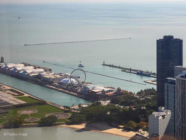 175 E Delaware Pl Unit 8808, Chicago, IL 60611 - water view