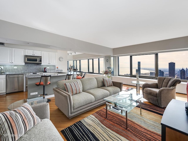 175 E Delaware Pl Unit 8808, Chicago, IL 60611 - living area featuring wood finished floors