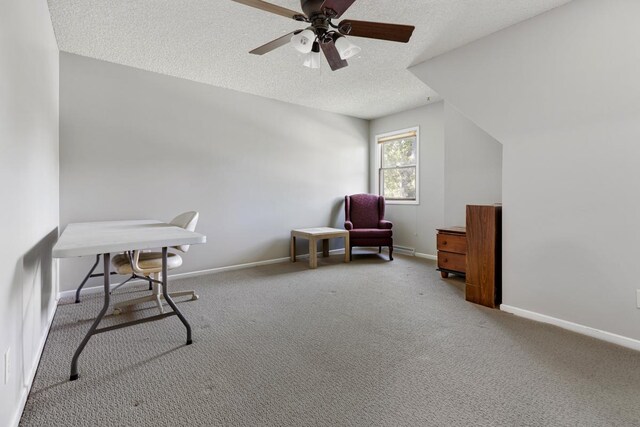 11280 James Ct, Genoa, IL 60135 - sitting room featuring a textured ceiling, ceiling fan, and carpet