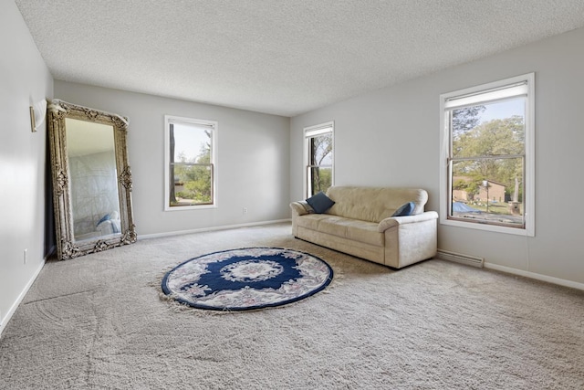 11280 James Ct, Genoa, IL 60135 - carpeted living room featuring a textured ceiling and baseboards