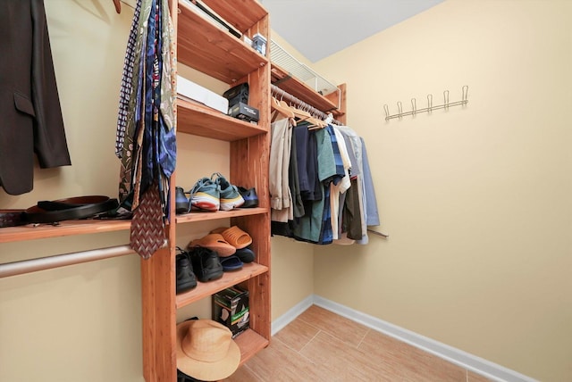 905 W Palm Dr, Mount Prospect, IL 60056 - view of walk in closet