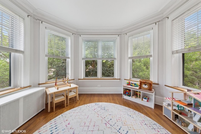 5308 N Glenwood Ave Unit 3N, Chicago, IL 60640 - sunroom with radiator, crown molding, and wood finished floors