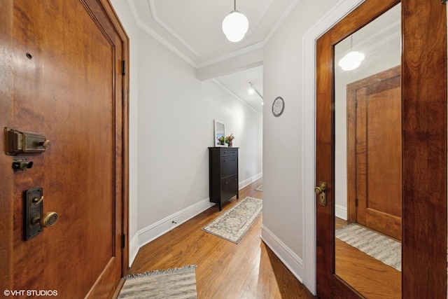 5308 N Glenwood Ave Unit 3N, Chicago, IL 60640 - hallway featuring wood finished floors and crown molding