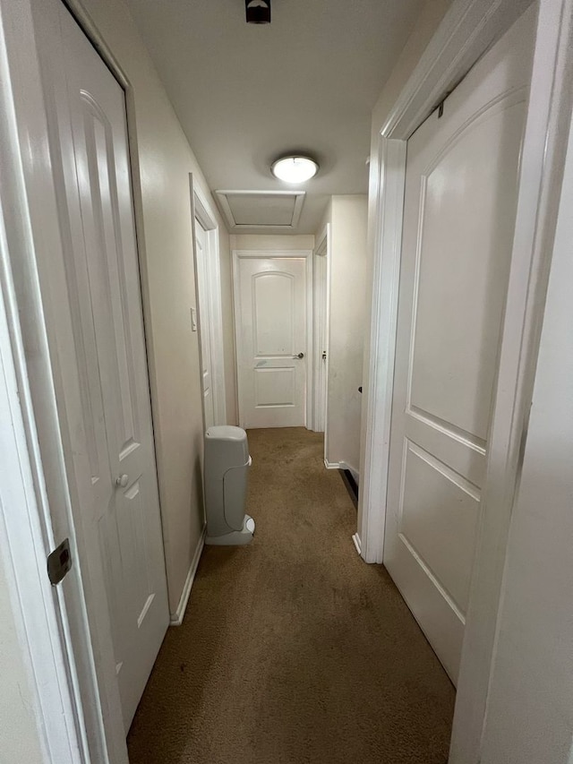 1S215 Stratford Ln, Villa Park, IL 60181 - hallway featuring carpet and attic access
