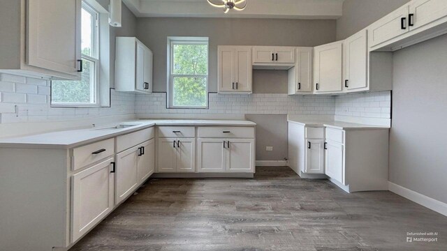 5738 S Carpenter St, Chicago, IL 60621 - kitchen featuring tasteful backsplash, wood finished floors, and white cabinets