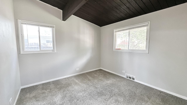 15043 Meadow Ln, Dolton, IL 60419 - spare room with wooden ceiling and carpet flooring