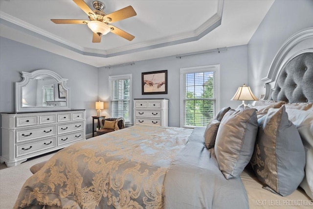 1108 Independence Ave, Elburn, IL 60119 - bedroom with a tray ceiling, ornamental molding, and ceiling fan