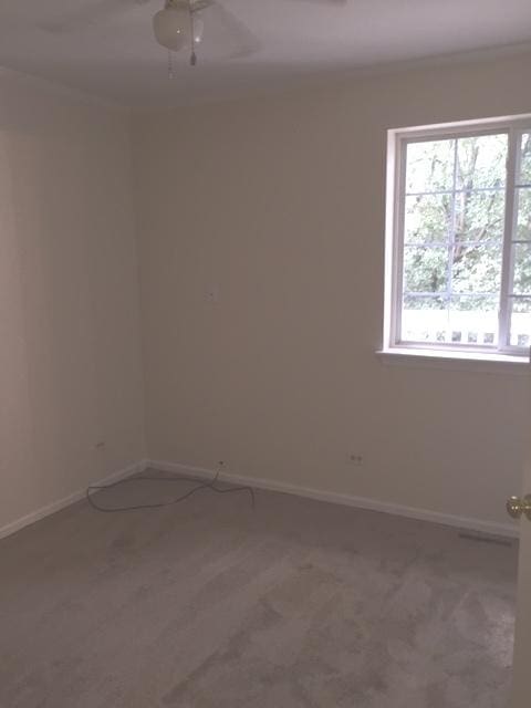 301 W Treehouse Ln, Round Lake, IL 60073 - photo 5