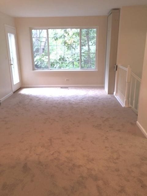 301 W Treehouse Ln, Round Lake, IL 60073 - photo 10