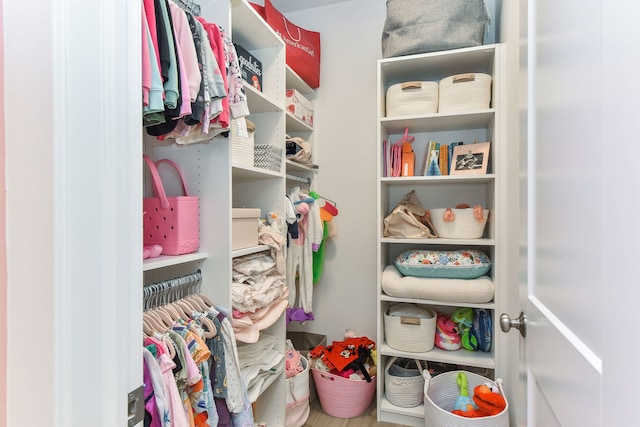 0N337 Herrick Dr, Wheaton, IL 60187 - view of spacious closet