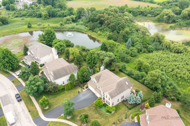 1174 Pine Tree Ct, Lake Villa, IL 60046 - drone / aerial view of a large body of water