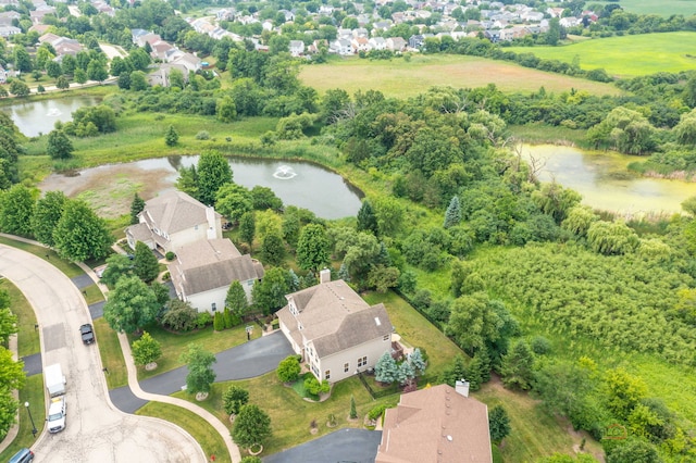 1174 Pine Tree Ct, Lake Villa, IL 60046 - aerial view of residential area with a large body of water