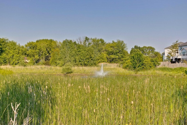 1174 Pine Tree Ct, Lake Villa, IL 60046 - view of yard