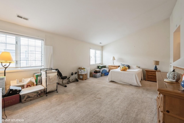 573 W Parkside Dr, Palatine, IL 60067 - bedroom featuring carpet and lofted ceiling