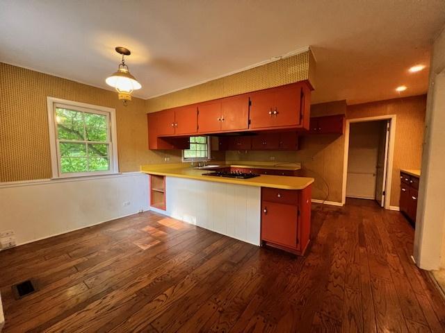 1917 Thornhill Rd, Inverness, IL 60067 - kitchen featuring dark wood-style flooring, a peninsula, light countertops, and plenty of natural light