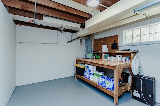 5246 N Mason Ave, Chicago, IL 60630 - below grade area with a workshop area and electric panel