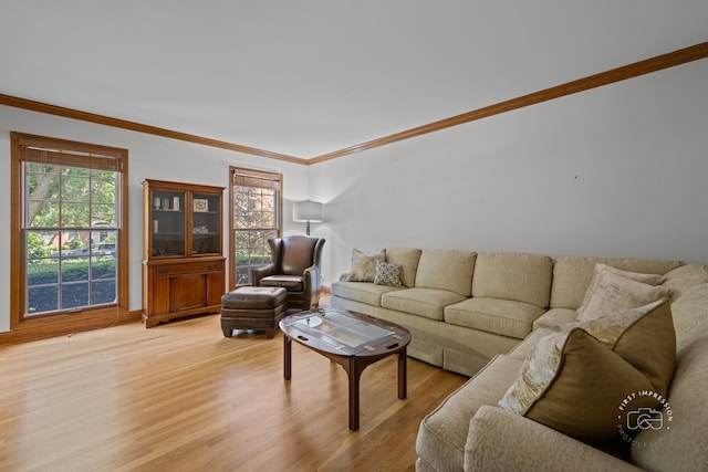 2337 Keim Rd, Naperville, IL 60565 - photo 5