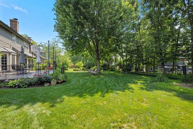 2337 Keim Rd, Naperville, IL 60565 - photo 42