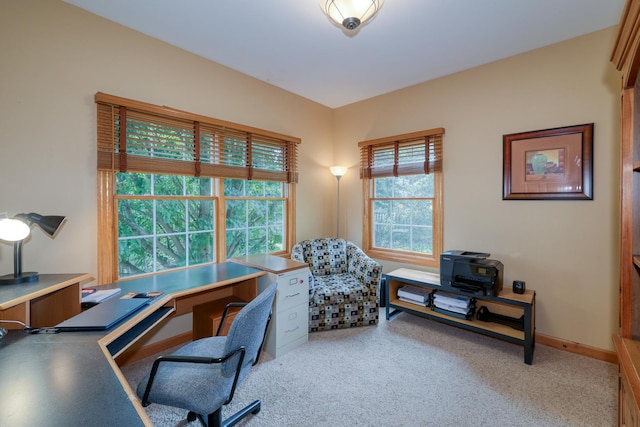 1272 Coyote Ct, Hampshire, IL 60140 - photo 18