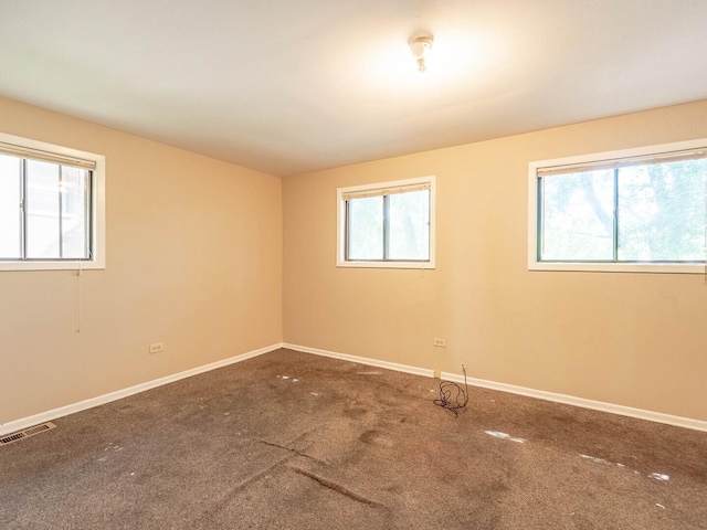 9117 S Brandon Ave, Chicago, IL 60617 - photo 8
