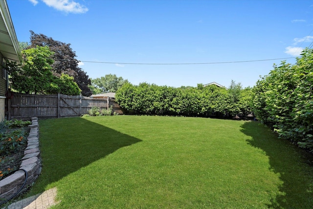 9912 S Kolmar Ave, Oak Lawn, IL 60453 - view of yard