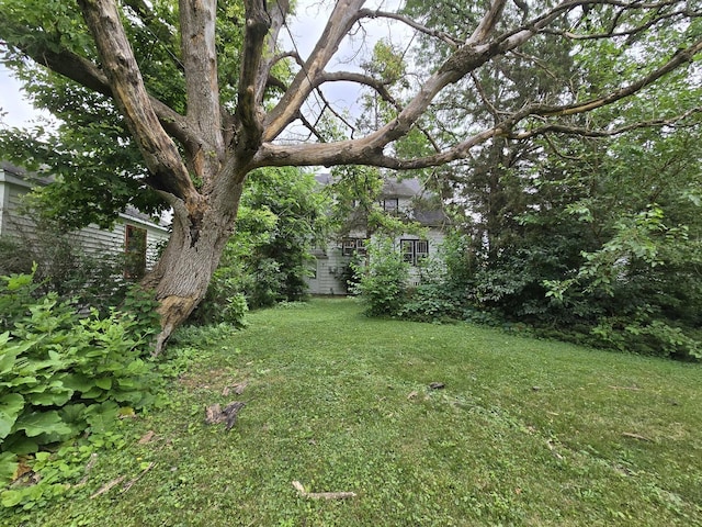 434 S Lewis Ave, Lombard, IL 60148 - view of grassy yard
