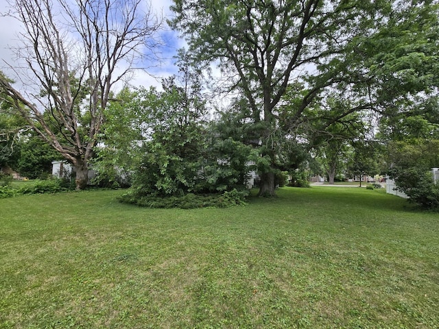 434 S Lewis Ave, Lombard, IL 60148 - view of grassy yard
