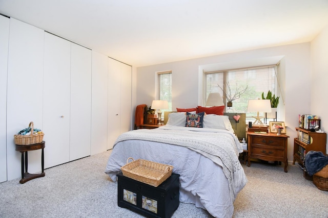801 S Plymouth Ct Unit V, Chicago, IL 60605 - bedroom with carpet and multiple closets