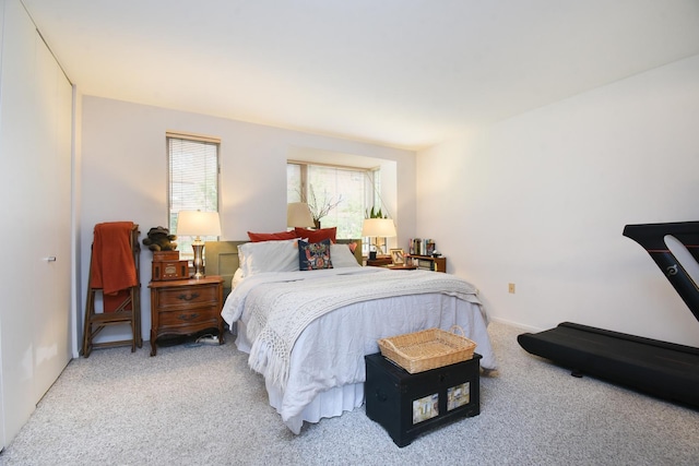 801 S Plymouth Ct Unit V, Chicago, IL 60605 - view of carpeted bedroom