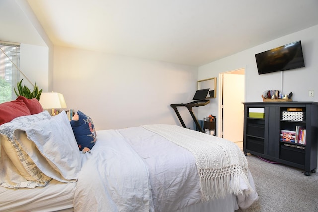 801 S Plymouth Ct Unit V, Chicago, IL 60605 - view of carpeted bedroom