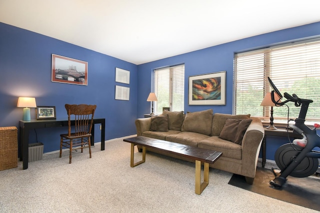 801 S Plymouth Ct Unit V, Chicago, IL 60605 - carpeted living room with baseboards