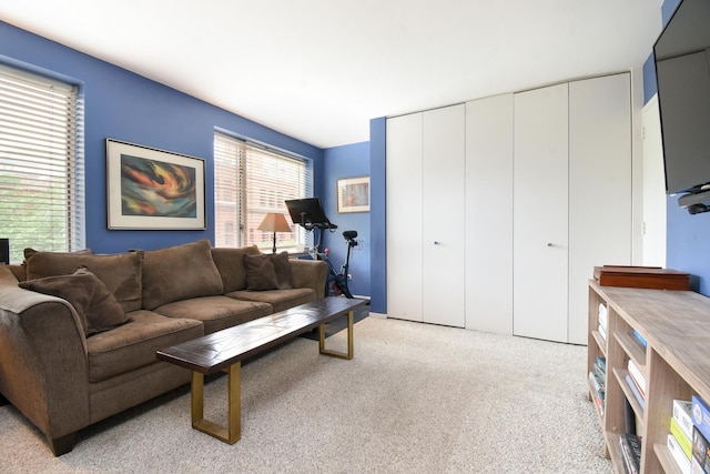 801 S Plymouth Ct Unit V, Chicago, IL 60605 - living area with carpet