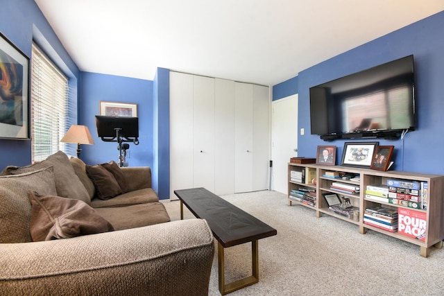 801 S Plymouth Ct Unit V, Chicago, IL 60605 - living room featuring carpet
