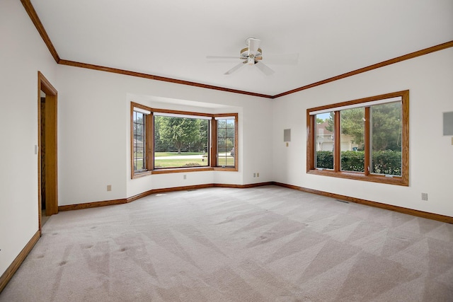 284 Barrington Ln, Bourbonnais, IL 60914 - photo 12