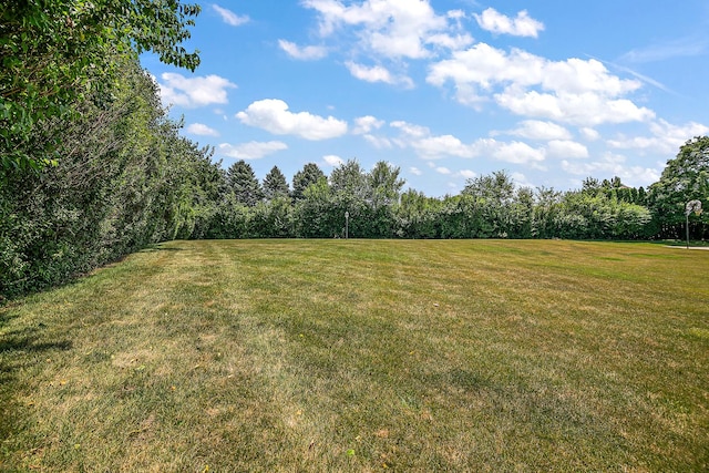 284 Barrington Ln, Bourbonnais, IL 60914 - photo 52