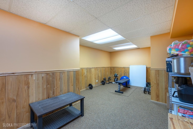 530 Sunnyside Ave, Gurnee, IL 60031 - workout room with wainscoting, a drop ceiling, carpet floors, and wood walls