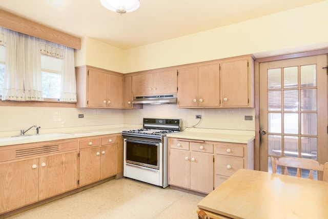 806 S Vine Ave, Park Ridge, IL 60068 - photo 12