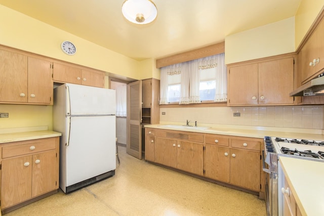 806 S Vine Ave, Park Ridge, IL 60068 - photo 13