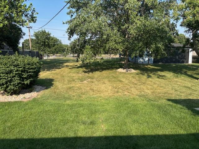 20031 Scott St, Mokena, IL 60448 - view of green lawn