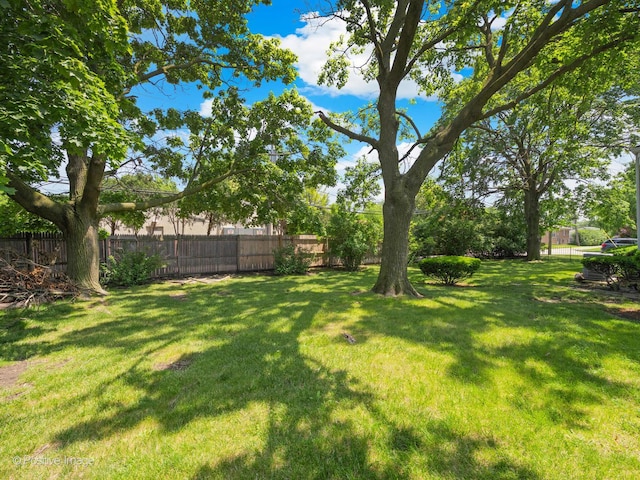3318 Wilder St, Skokie, IL 60076 - view of yard