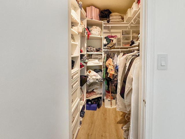 204 Inverrary Ln, Deerfield, IL 60015 - spacious closet featuring light wood-style floors
